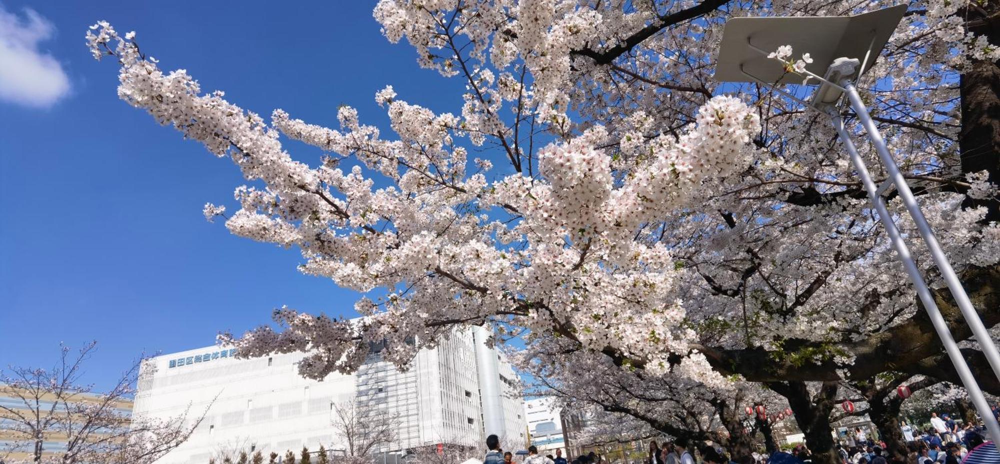 明月楼三零二 Leilighet Tokyo Eksteriør bilde
